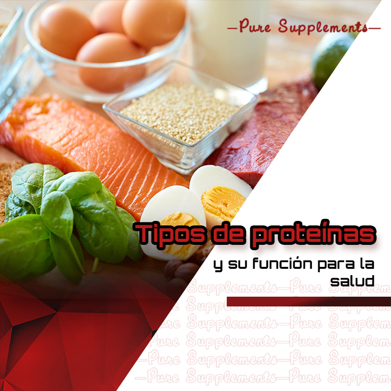 Tipos de proteínas y su función para la salud